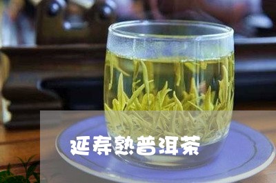 延寿熟普洱茶/2023042856784