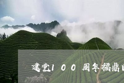 建党100周年福鼎白茶/2023092157048