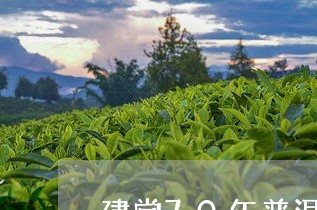 建党70年普洱茶价格/2023080172703