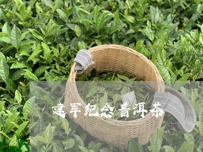 建军纪念普洱茶/2023102636237