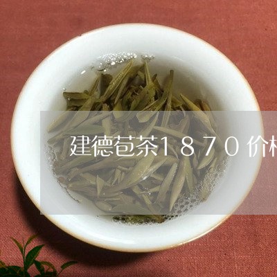 建德苞茶1870价格/2023060991626