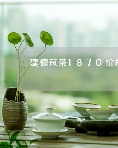 建德苞茶1870价格/2023071536159