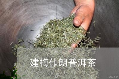 建梅佧朗普洱茶/2023081838682