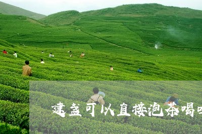 建盏可以直接泡茶喝吗/2023092083938