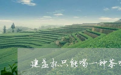 建盏杯只能喝一种茶吗/2023071481503