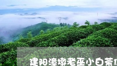 建阳漳墩老巫小白茶价格/2023102573713