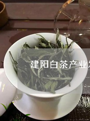 建阳白茶产业发展情况表/2023102518472