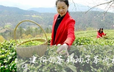 建阳白茶铺柚子茶价格/2023093015370