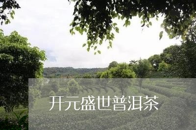 开元盛世普洱茶/2023081875137