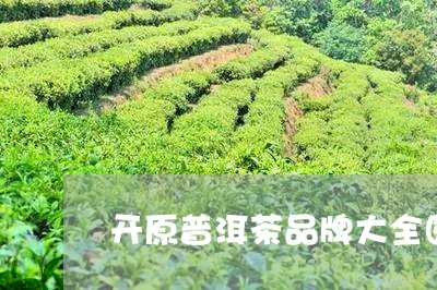 开原普洱茶品牌大全图片/2023082931605