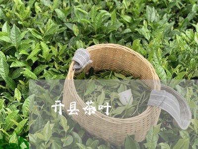 开县茶叶/2023090182704