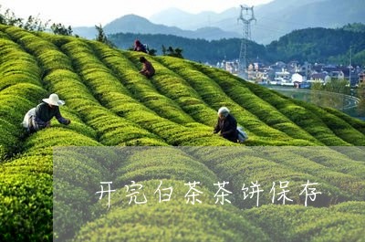 开完白茶茶饼保存/2023062033069