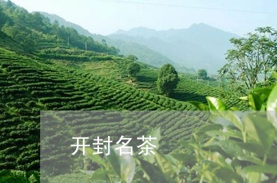 开封名茶/2023090189371