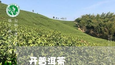 开普洱茶/2023121821515