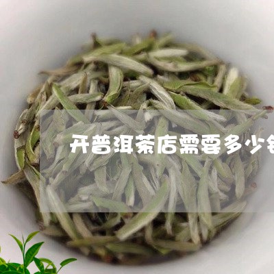 开普洱茶店需要多少钱/2023092524147