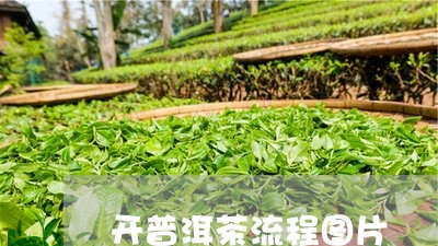 开普洱茶流程图片/2023120446038