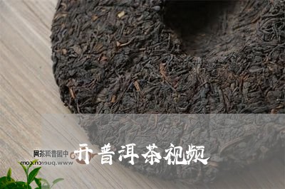 开普洱茶视频/2023042875539