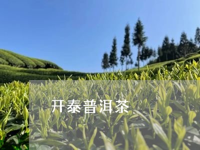 开泰普洱茶/2023090540169