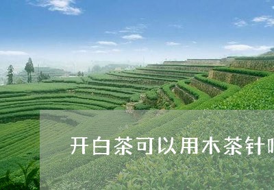 开白茶可以用木茶针吗/2023093085050