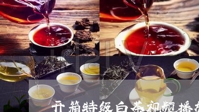 开箱特级白茶视频播放/2023093021695