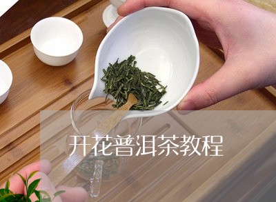 开花普洱茶教程/2023081503036