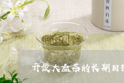 开设大益茶的长期目标/2023061099683