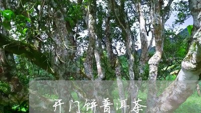 开门饼普洱茶/2023112676057