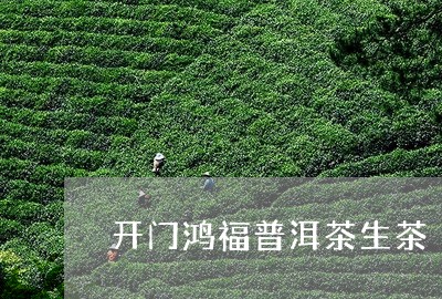 开门鸿福普洱茶生茶/2023070901825