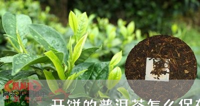 开饼的普洱茶怎么保存/2023082720693