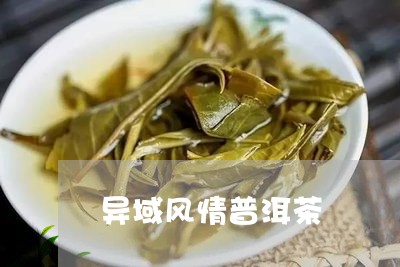 异域风情普洱茶/2023112648271