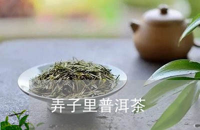 弄子里普洱茶/2023090628269