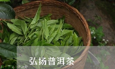 弘扬普洱茶/2023090601823