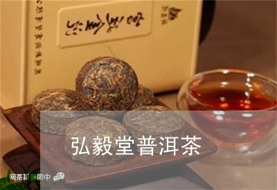 弘毅堂普洱茶/2023042815675