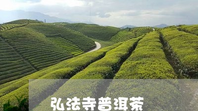 弘法寺普洱茶/2023042792449