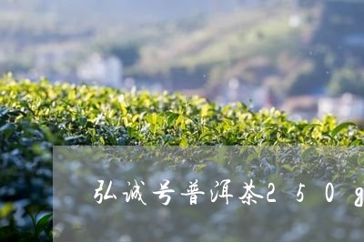 弘诚号普洱茶250g/2023072370704