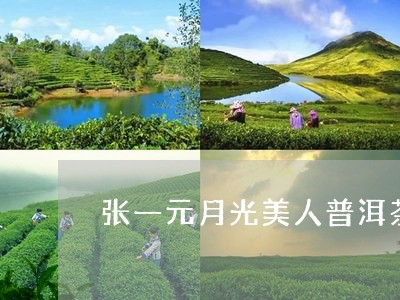 张一元月光美人普洱茶/2023092683836