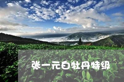 张一元白牡丹特级/2023090672815