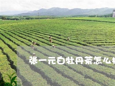 张一元白牡丹茶怎么样/2023120922936