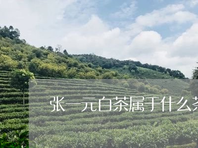 张一元白茶属于什么茶/2023093045814