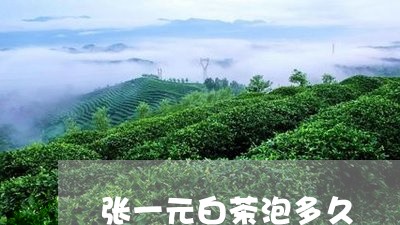 张一元白茶泡多久/2023062092828