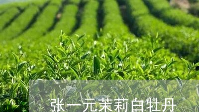 张一元茉莉白牡丹/2023090638351