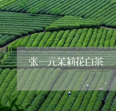 张一元茉莉花白茶/2023062073717