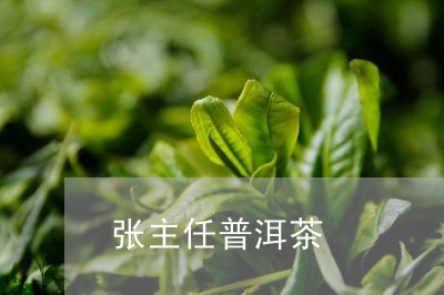 张主任普洱茶/2023042678288