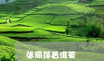 张丽萍普洱茶/2023042841671