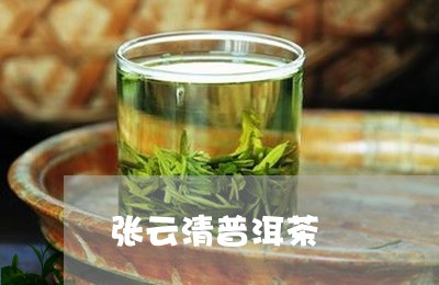 张云清普洱茶/2023042800504