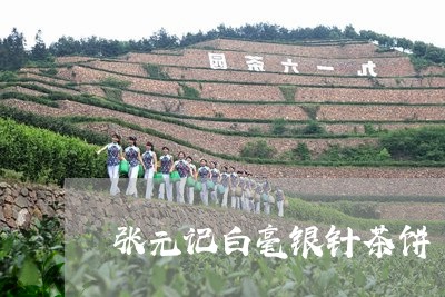 张元记白毫银针茶饼/2023120608473