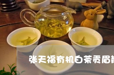 张天福有机白茶贡眉散茶/2023092560594