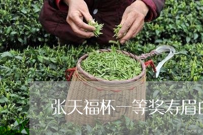 张天福杯一等奖寿眉白茶/2023102558583