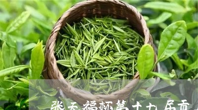 张天福杯第十七届贡眉/2023120894736