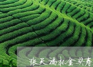 张天福杯金奖寿眉价格/2023093006149